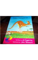 Baby Kangaroo: Student Reader(Rigby Sails Emergent)