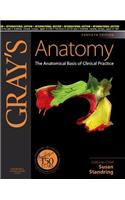 Gray'S Anatomy: The Anatomical Basis Of Clinical Practice