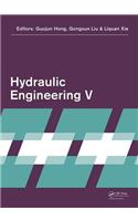 Hydraulic Engineering V