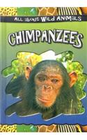 Chimpanzees