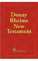 Douay Rheims New Testament