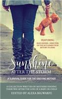 Sunshine After the Storm