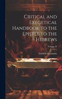 Critical and Exegetical Handbook to the Epistle to the Hebrews; Volume 19