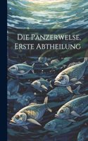 Die Panzerwelse, Erste Abtheilung
