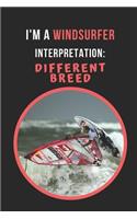 I'm A Windsurfer.. Interpretation