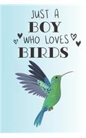 Just A Boy Who Loves Birds: Cute Bird Lovers Journal / Notebook / Diary / Birthday Gift (6x9 - 110 Blank Lined Pages)