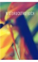 Blutdrucktagebuch