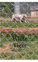 White Tiger