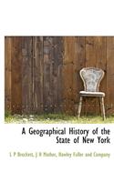 A Geographical History of the State of New York