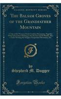 The Balsam Groves of the Grandfather Mountain: A Tale of the Western North Carolina Mountains, Together with Information Relating to the Section and Its Hotels, Also a Table Showing the Height of Important Mountains, Etc (Classic Reprint)