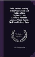 Wild Beasts; a Study of the Characters and Habits of the Elephant, Lion, Leopard, Panther, Jaguar, Tiger, Puma, Wolf, and Grizzly Bear;