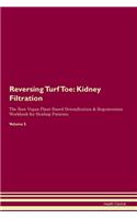 Reversing Turf Toe: Kidney Filtration The Raw Vegan Plant-Based Detoxification & Regeneration Workbook for Healing Patients. Volume 5