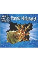 Marine Minibeasts