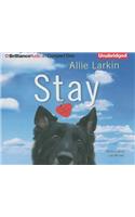Stay