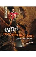 Wild Underground: Caves and Caving