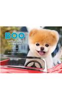 Boo: Little Dog in the Big City