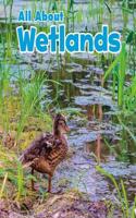 All About Wetlands