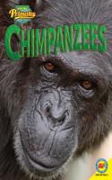 Chimpanzees: (Amazing Primates)