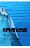 A Photographic Journey into the Life of Dolphins