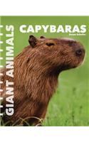 Capybaras