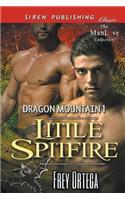 Little Spitfire [Dragon Mountain 1] (Siren Publishing Classic Manlove)