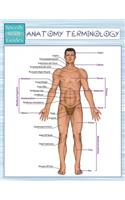 Anatomy Terminology (Speedy Study Guides)