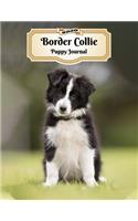 2020 Border Collie Puppy Journal: Weekly Planner - 12 Months - 107 pages 8.5 x 11 in. - Calendar - Diary - Organizer - Vaccinations - Vet Appointments - Half Spread Wide Ruled Pages