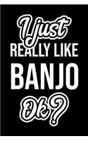 I Just Really Like Banjo Ok?: Christmas Gift for Banjo lover - Funny Banjo Journal - Nice 2019 Christmas Present for Banjo - 6x9inch 120 pages