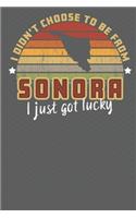 I Didn't Choose to Be From Sonora I Just Got Lucky: Show your pride for Mexico with this Wonderful Gift Blank Paged Journal Notebook