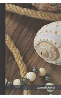sea snails notes