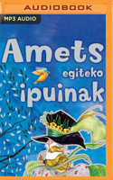 Amets Egiteko Ipuinak