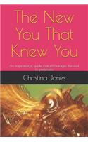 The New You That Knew You: An Inspirational Guide That Encourages the Soul to Persevere