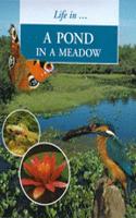 POND IN THE MEADOW