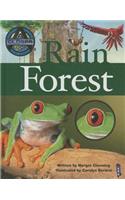 Rain Forest