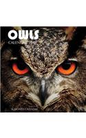 Owls Calendar 2018: 16 Month Calendar