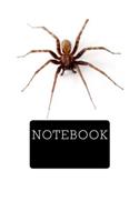 Notebook: Arachnophobia; 150 lined pages; softcover; 6 x 9;