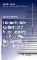 Extreme Particle Acceleration in Microquasar Jets and Pulsar Wind Nebulae with the Magic Telescopes