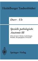 Spezielle Pathologische Anatomie III