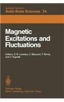 Magnetic Excitations and Fluctuations