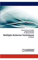 Multiple Antenna Techniques