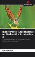 Insect Pests (Lepidoptera) on Nerica Rice Production 3