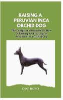 Raising a Peruvian Inca Orchid Dog