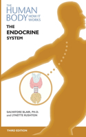Endocrine System, Third Edition