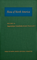 Flora of North America, North of Mexico