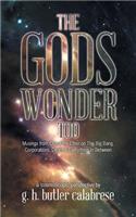 Gods Wonder Too