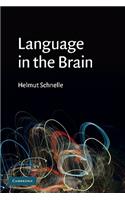 Language in the Brain