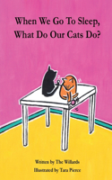 When We Go To Sleep, What Do Our Cats Do?