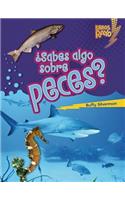 ¿Sabes algo sobre peces? (Do You Know about Fish?)