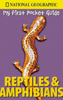Reptiles and Amphibians