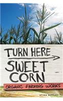Turn Here Sweet Corn